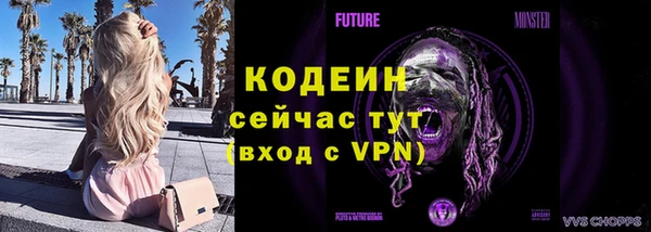 МДПВ Краснослободск
